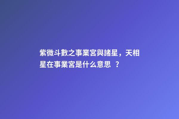 紫微斗數之事業宮與諸星，天相星在事業宮是什么意思？